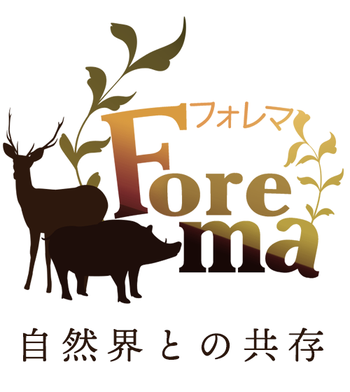 株式会社forema フォレマ