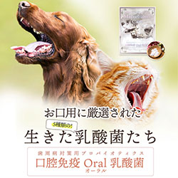 犬と猫の歯周病サプリ Oral乳酸菌