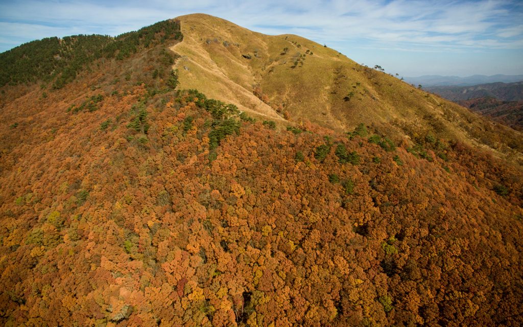 深入山