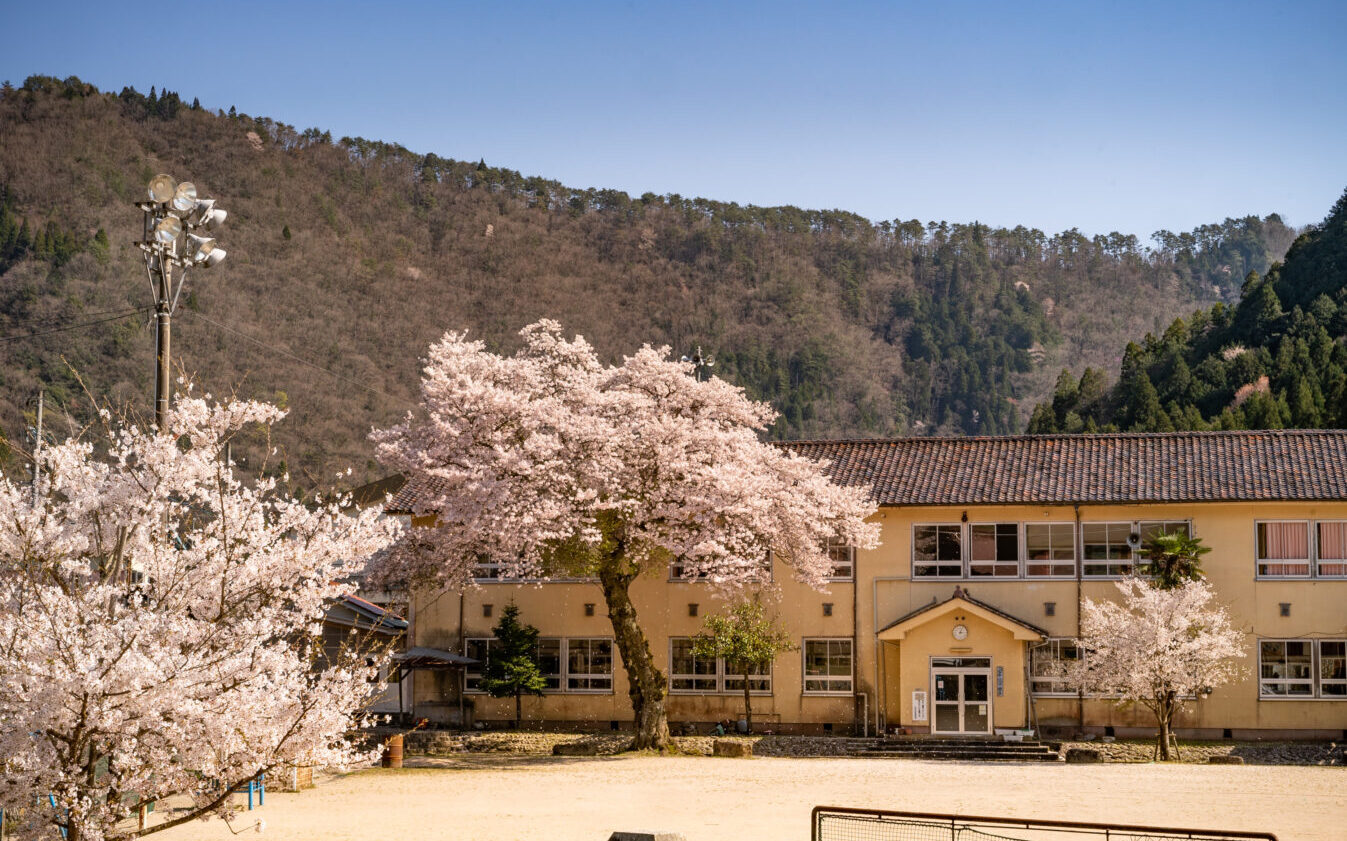 Forema 廃校の桜