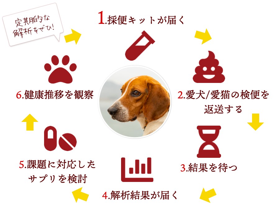 犬と猫の腸内フローラ検査 byOm(バイオーム)