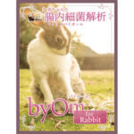ウサギの腸内フローラ検査 byOm rabbit