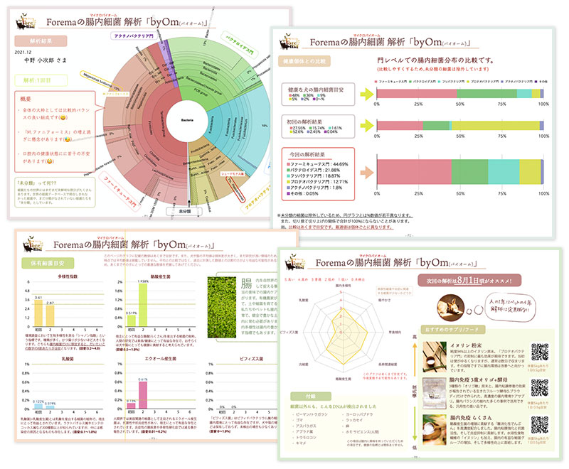 腸内細菌レポート サンプル