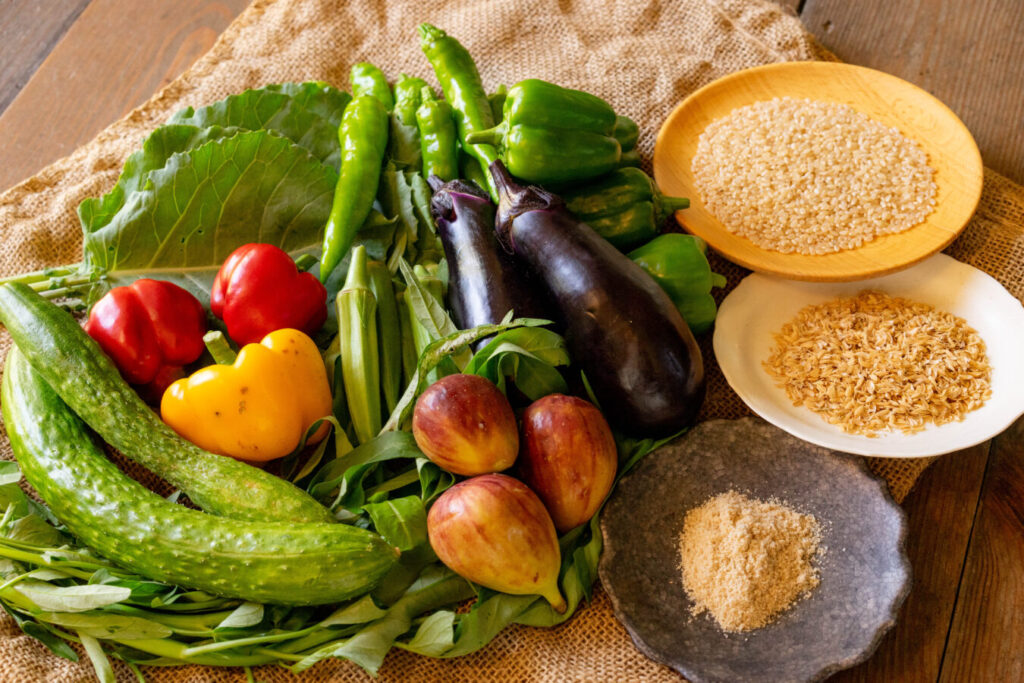 アーキオータム乳酸菌の分離源